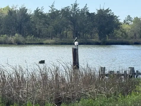 01 W Bayshore Road Oak Island TX 77514