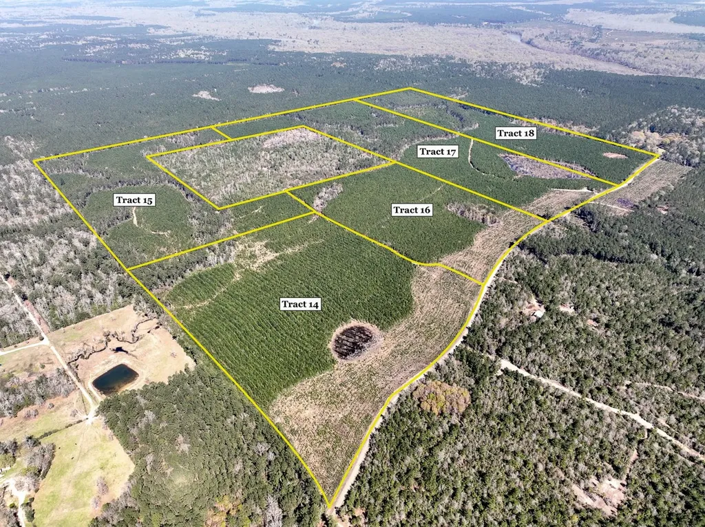 00 County Road 4415 Spurger TX 77660
