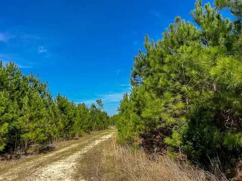 00 County Road 4415 Spurger TX 77660