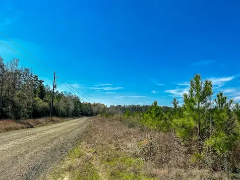 00 County Road 4415 Spurger TX 77660