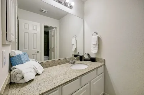 3 Crocus Petal Street The Woodlands TX 77382