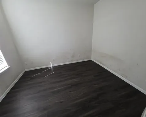 305 Lippizan Drive Alvin TX 77511