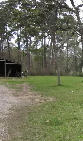 4018 E Mossy Oaks Road Spring TX 77389