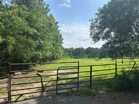 Lot 1 Minnie West Road Hull TX 77564