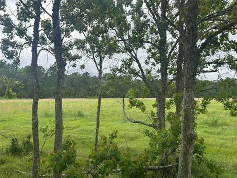 Lot 1 Minnie West Road Hull TX 77564