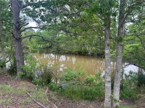 Lot 1 Minnie West Road Hull TX 77564