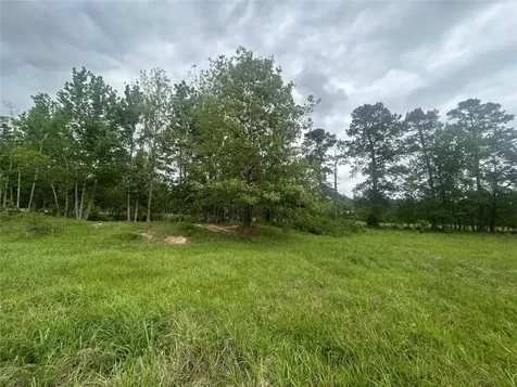 Lot 1 Minnie West Road Hull TX 77564