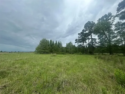 Lot 1 Minnie West Road Hull TX 77564