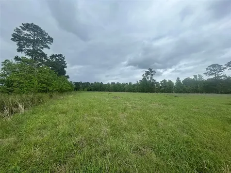Lot 1 Minnie West Road Hull TX 77564