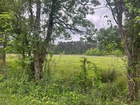 Lot 1 Minnie West Road Hull TX 77564