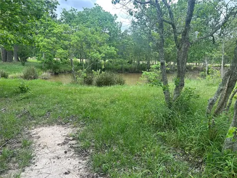 Lot 1 Minnie West Road Hull TX 77564