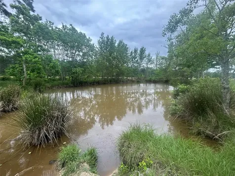 Lot 1 Minnie West Road Hull TX 77564