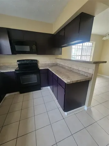 19330 Cypress Bay Drive Katy TX 77449