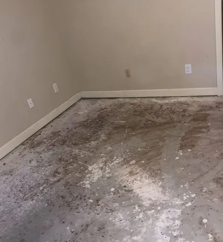 1902 Shadow Rock Drive Houston TX 77339