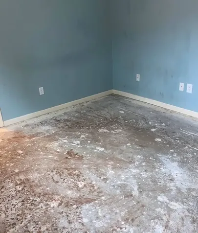 1902 Shadow Rock Drive Houston TX 77339