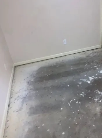 1902 Shadow Rock Drive Houston TX 77339