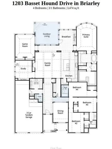 1203 Basset Hound Drive Montgomery TX 77316