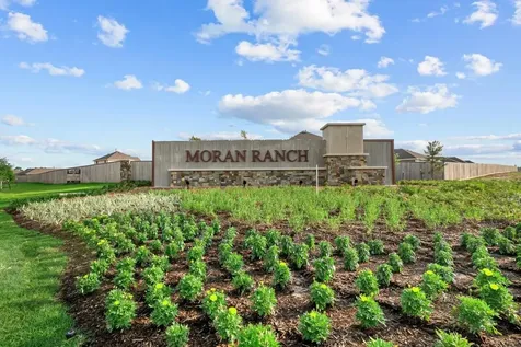 233 Mountain Knolls Lane Willis TX 77378