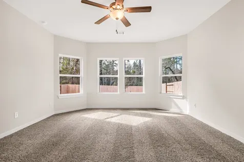 17925 Canopy Trace Court Conroe TX 77316