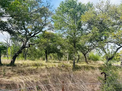 1390 County Road 106 Columbus TX 78934