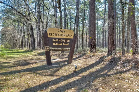 Lot 13 Homestead Hill Road New Waverly TX 77358