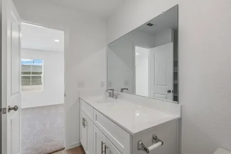 30509 Bladnoch Lane Waller TX 77484