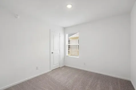 30509 Bladnoch Lane Waller TX 77484