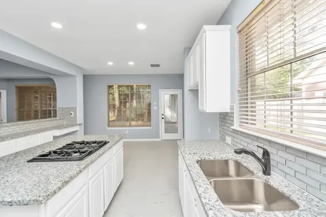 19 Long Springs Place The Woodlands TX 77382