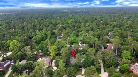 19 Long Springs Place The Woodlands TX 77382