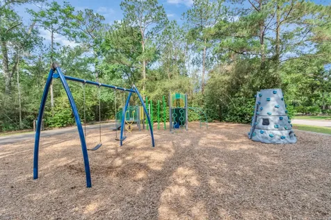19 Long Springs Place The Woodlands TX 77382