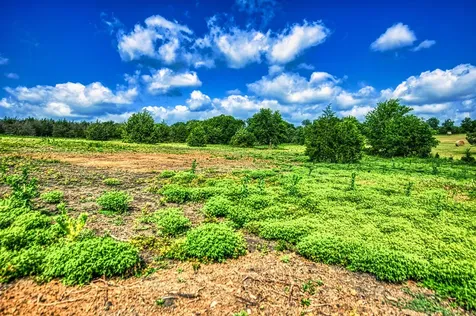 Lot 1 Wonder Hill Road Chappell Hill TX 77426