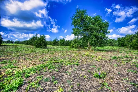 Lot 1 Wonder Hill Road Chappell Hill TX 77426