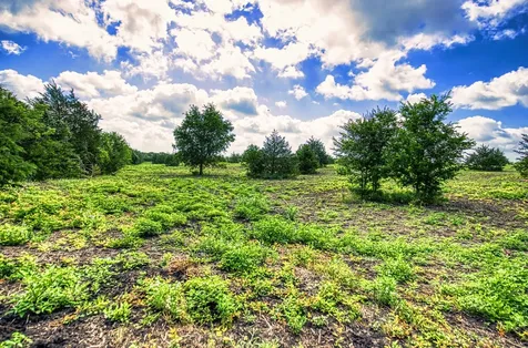 Lot 1 Wonder Hill Road Chappell Hill TX 77426