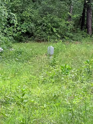967 Big Foot Wallace Trail Livingston TX 77351