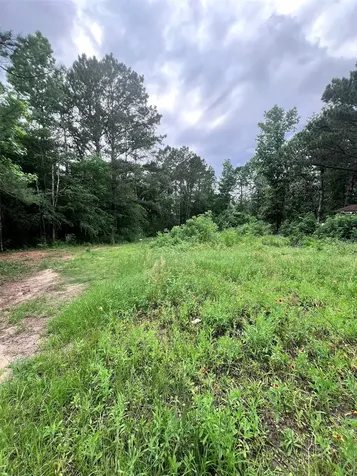 967 Big Foot Wallace Trail Livingston TX 77351