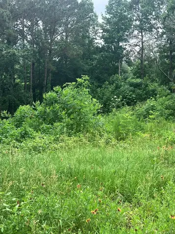 967 Big Foot Wallace Trail Livingston TX 77351