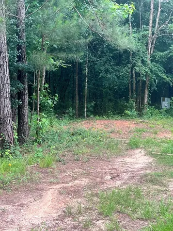 967 Big Foot Wallace Trail Livingston TX 77351