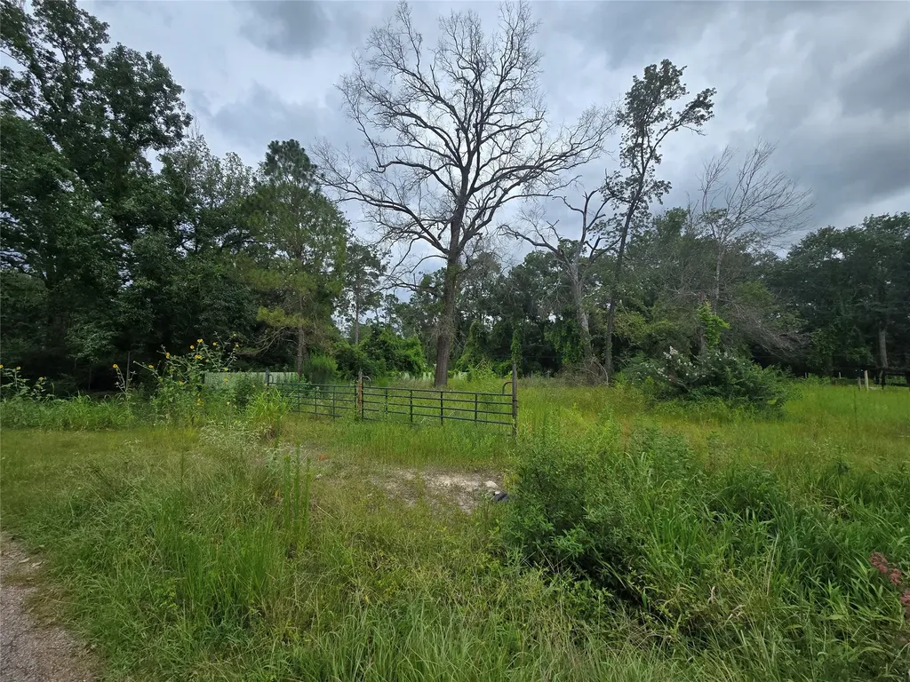 00 Olds Drive Porter TX 77365