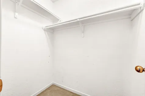 19 S Scarlet Elm Court Spring TX 77382