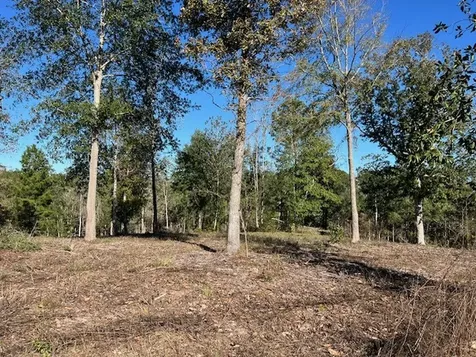 Tbd Lot 27 Addison Road Livingston TX 77351
