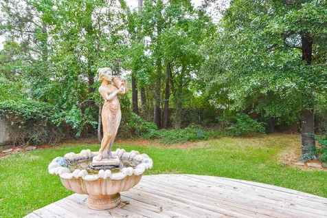 25203 Oak Villa Drive Spring TX 77389