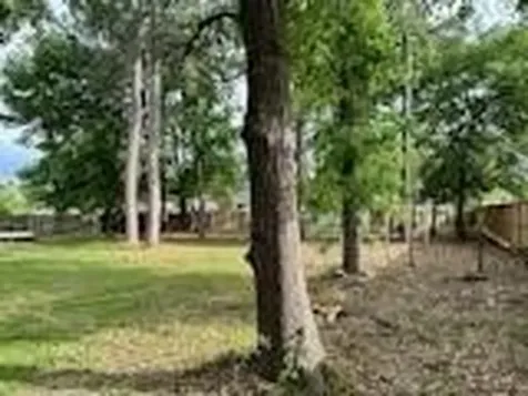 25203 Oak Villa Drive Spring TX 77389