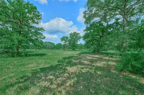 27610 S Log Cabin Road Montgomery TX 77356