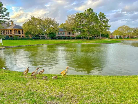 20823 Medallion Pointe Drive Katy TX 77450