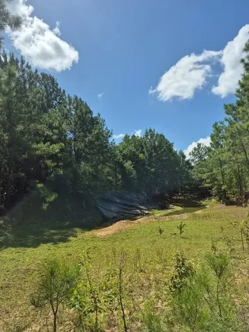 20818 Red Oak Drive Cleveland TX 77328