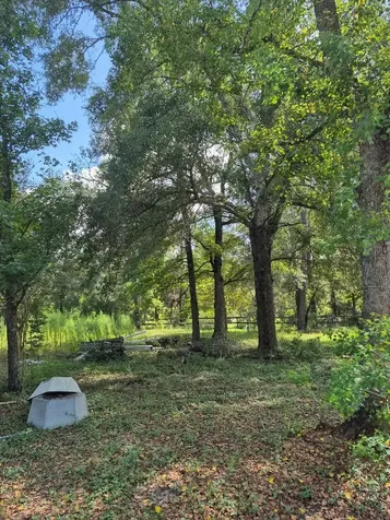 20818 Red Oak Drive Cleveland TX 77328