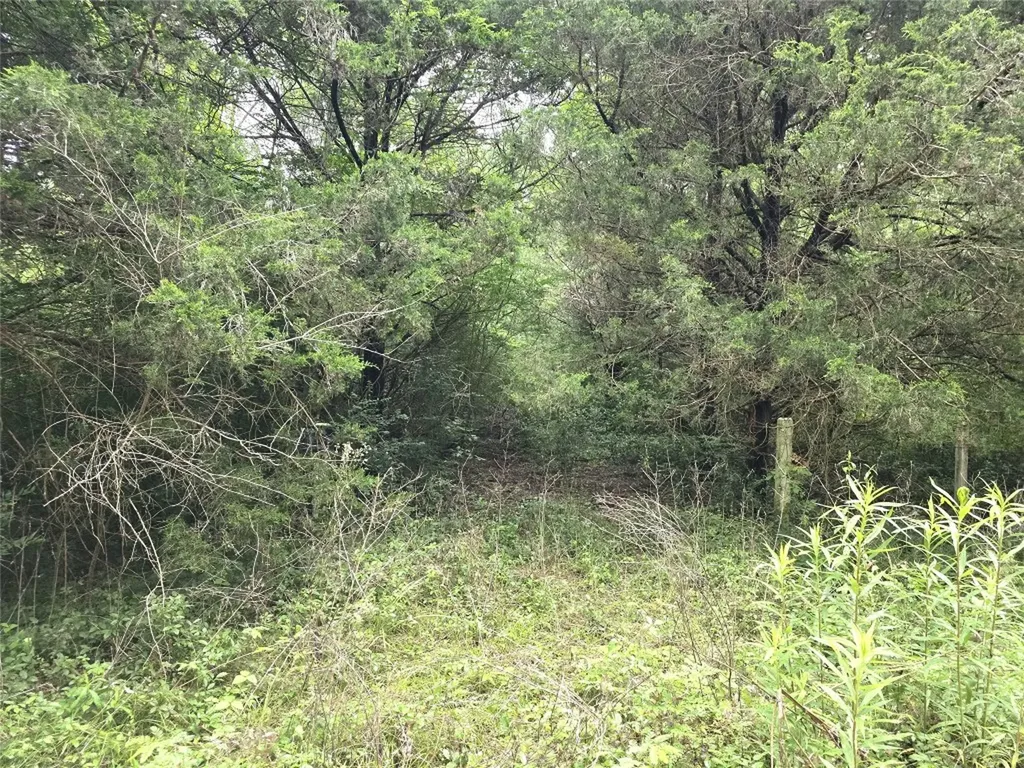 1069 Conestoga Trail Livingston TX 77351