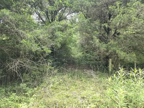 1069 Conestoga Trail Livingston TX 77351