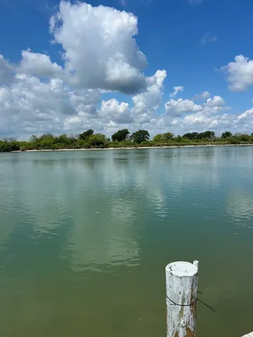 1952 Fm 2031 Matagorda TX 77457