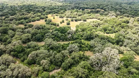 Tbd Cr 215 Weimar TX 78962